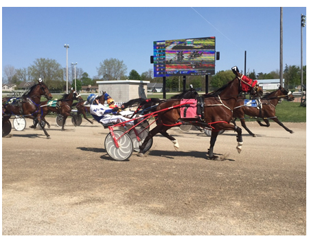 horse chariot race in front of outdoor screen