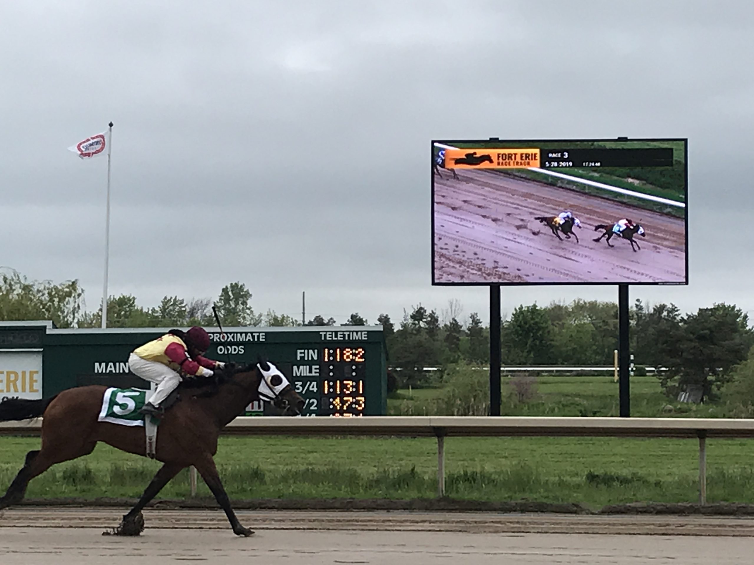 video display showing a jockey on a horse in a race