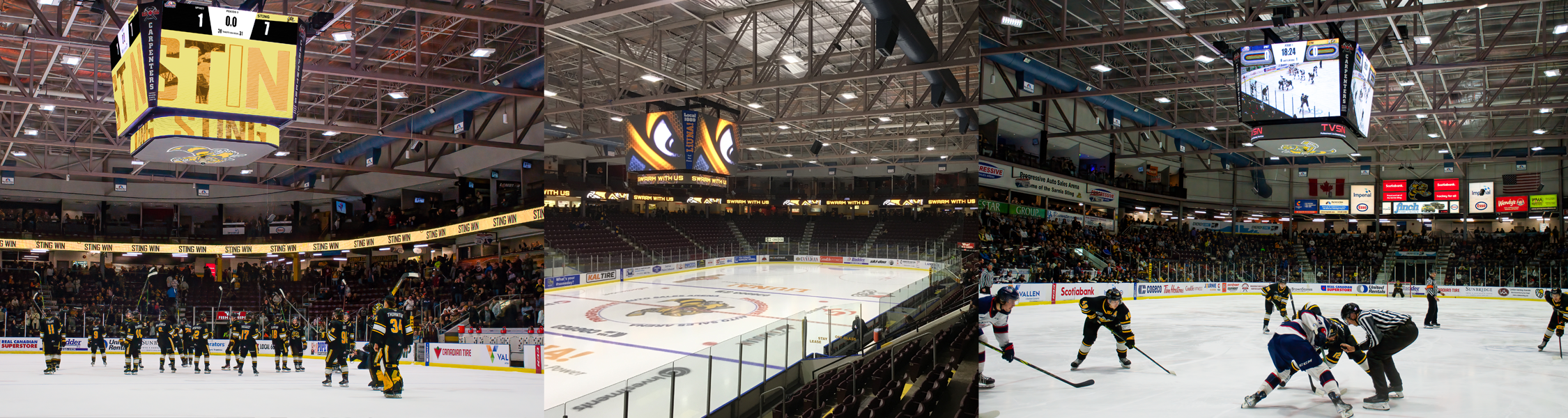 Sarnia Sting Banner Sarnia Sting