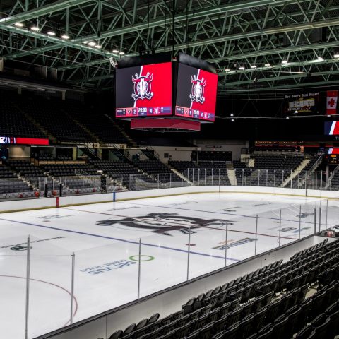 arena shot