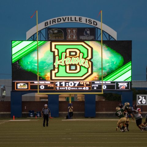 Birdville