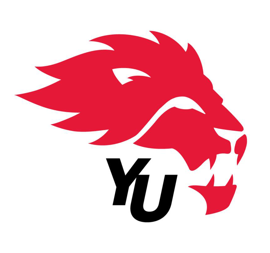 York Lions