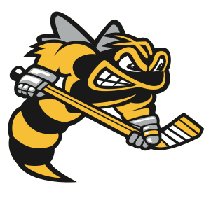 Sarnia Sting