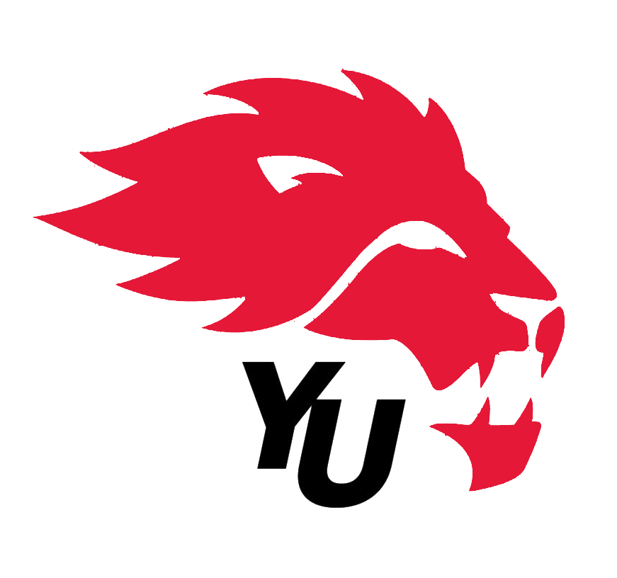 York Lions