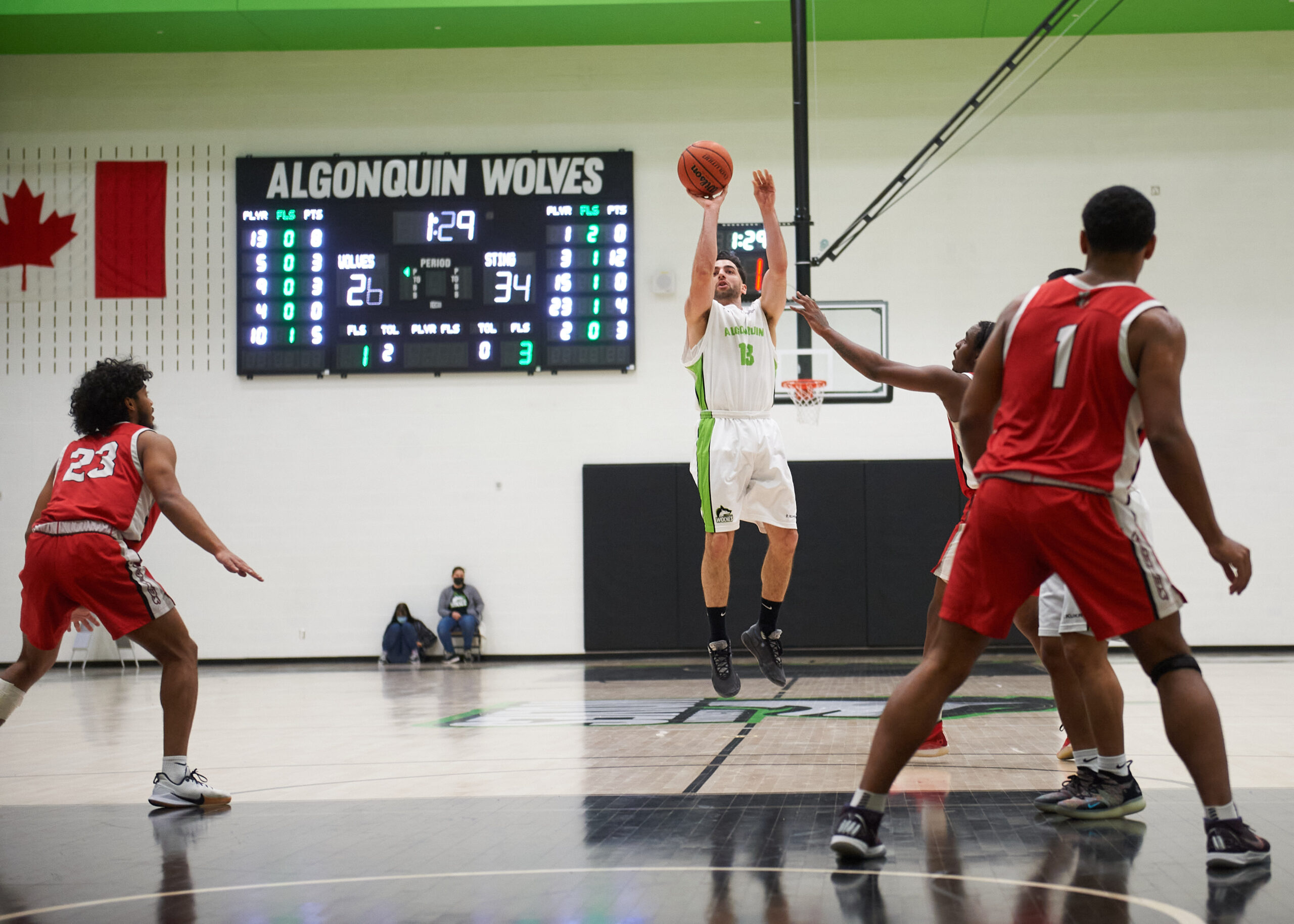 Algonquin Wolves (3)