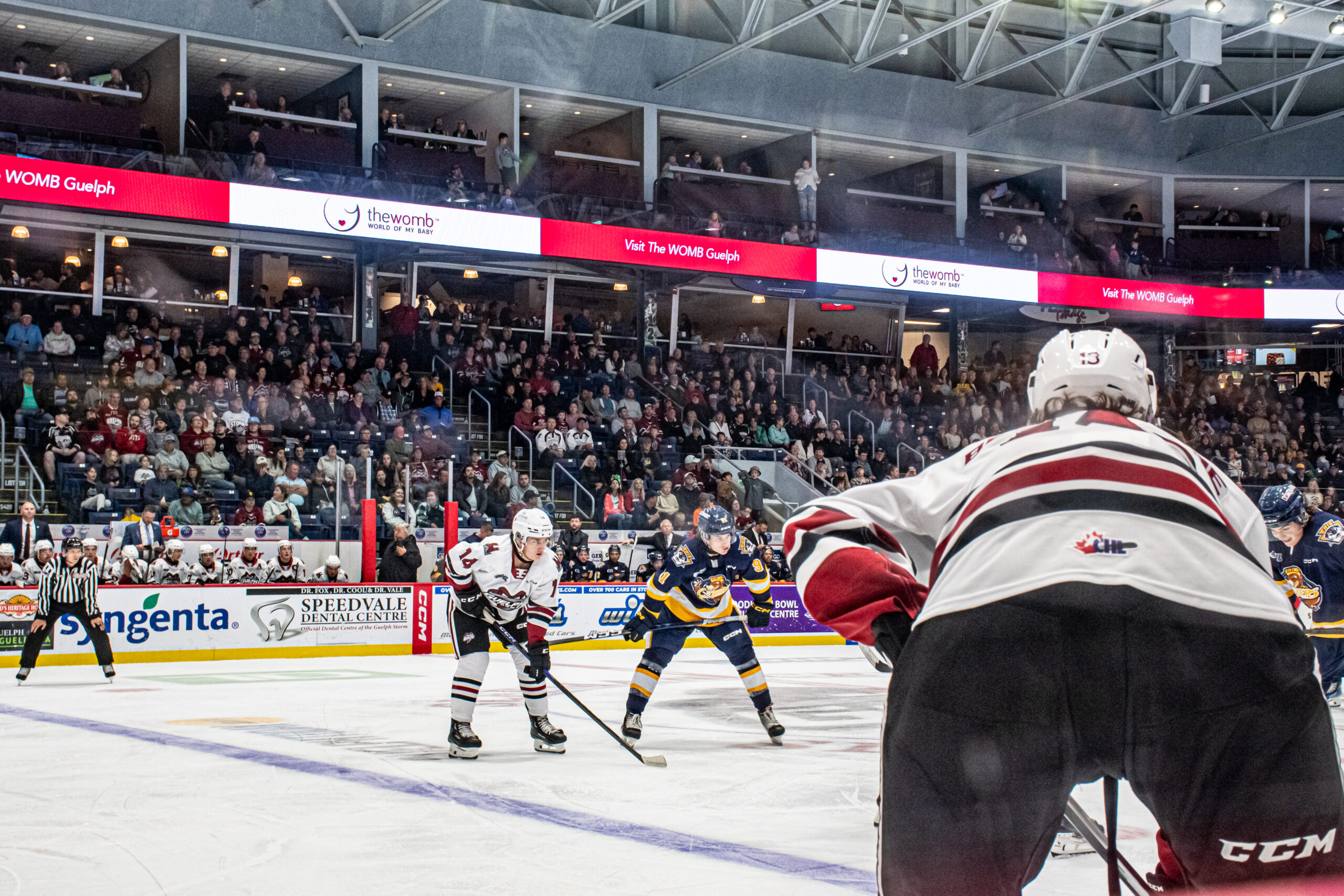 Guelph Storm (14 of 33)